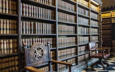 Direitos e deveres das partes contratantes: explore as nuances